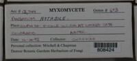 Image Associated With the Occurence
